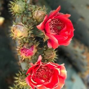 Meet your Posher, Molly